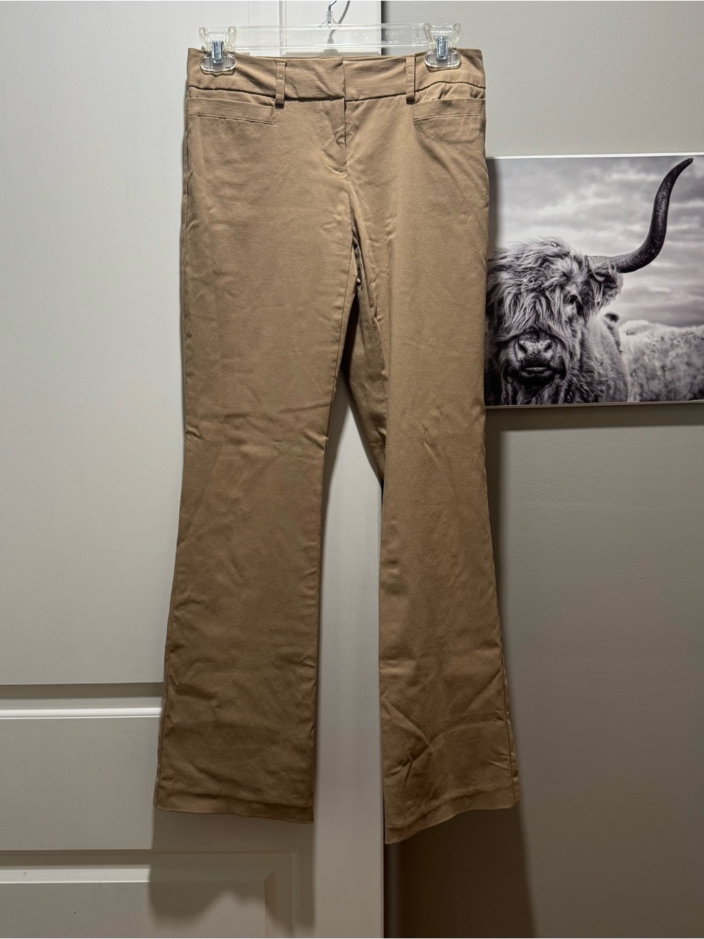 No boundaries book it pants